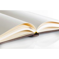 G�stebog - G�steb�ger med guldtryk brun kunstl�der Barok